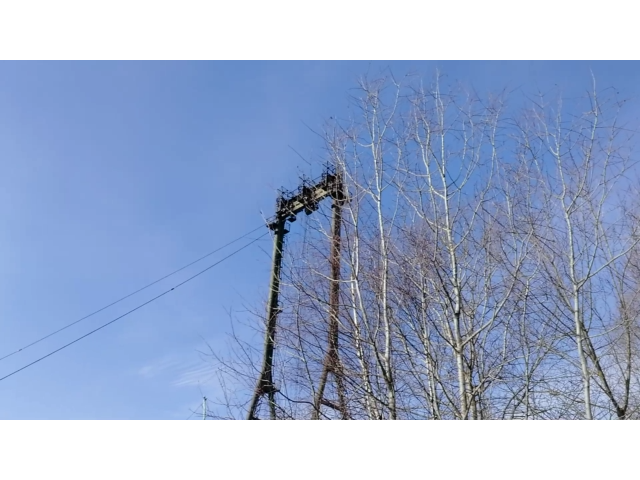 Вид на кран-балку из дыры забора