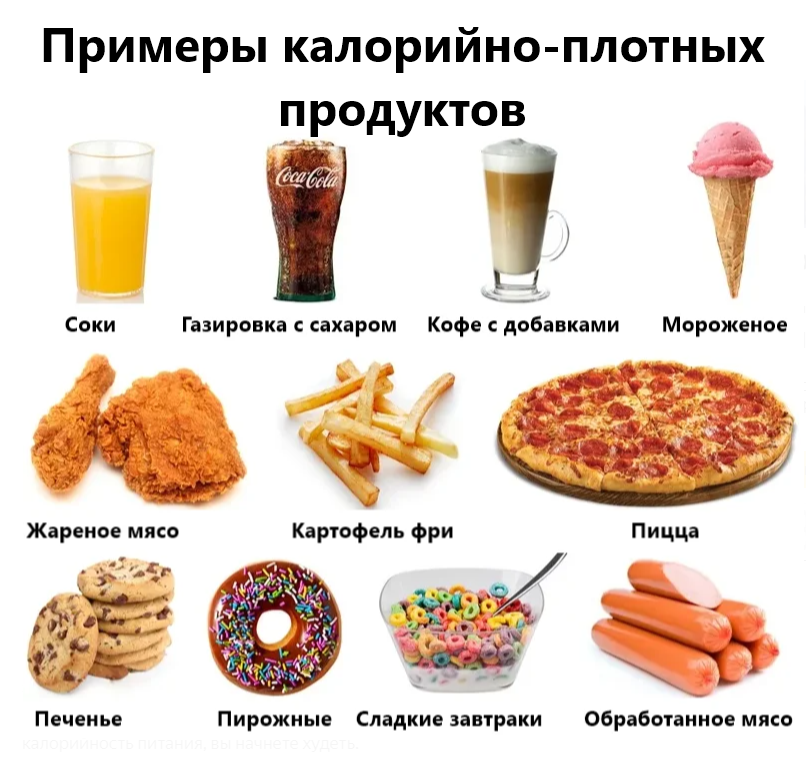 Самые калорийные продукты