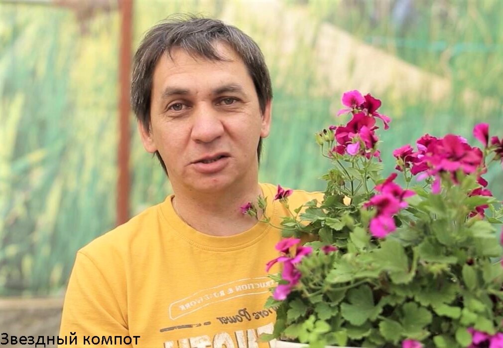 Александр попов уральские пельмени биография личная жизнь Как сложилась личная жизнь участников юмористического шоу "Уральские пельмени". 