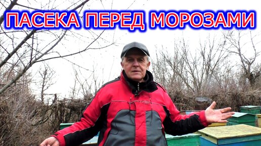 Пасека снова перед морозами. Подкормка.