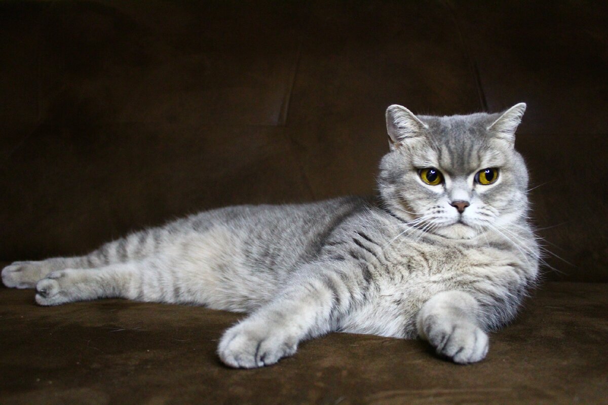 Такая разная. То она милая, то противная))