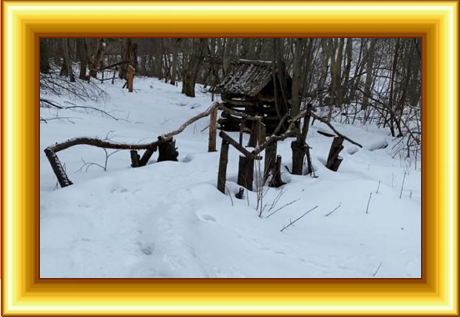 домик Лешего, п. Сиверский