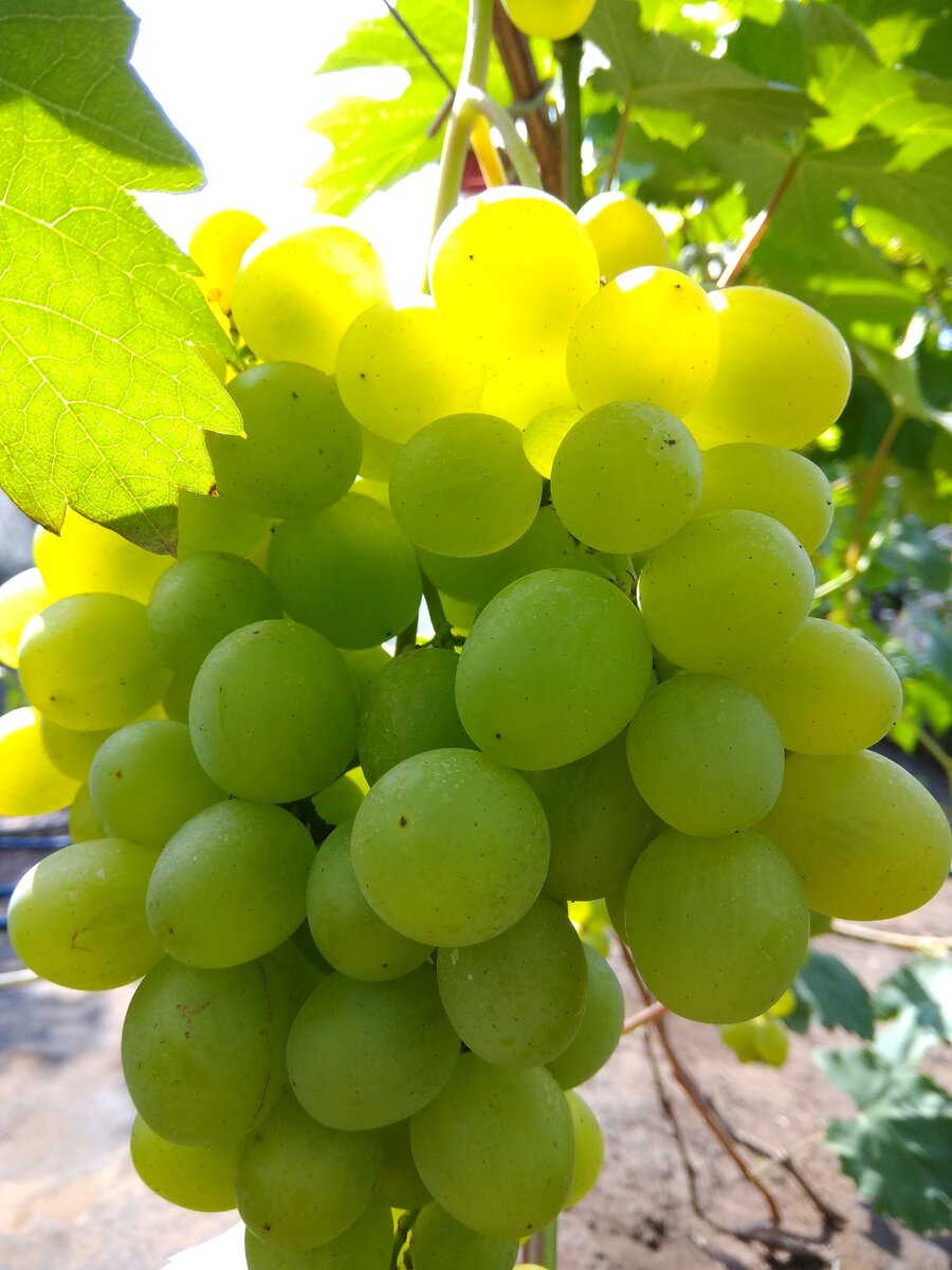 Супер Экстра теперь долго не теряет форму