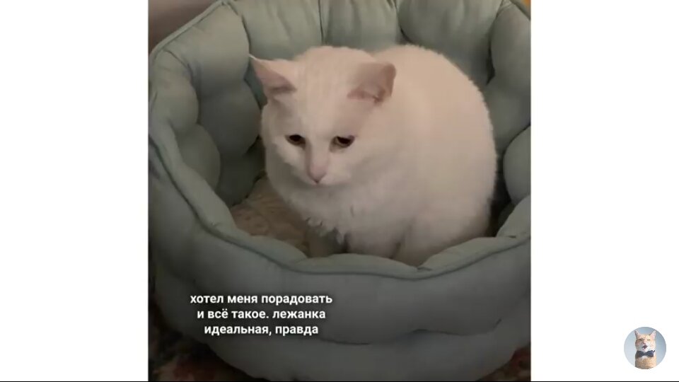 и грустно и смешно