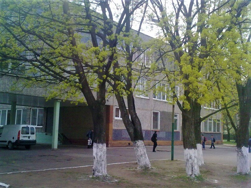 Эта типовая застройка, пожалуй, знакома многим