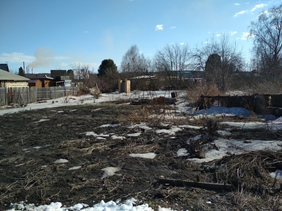 Вид на сад сегодня