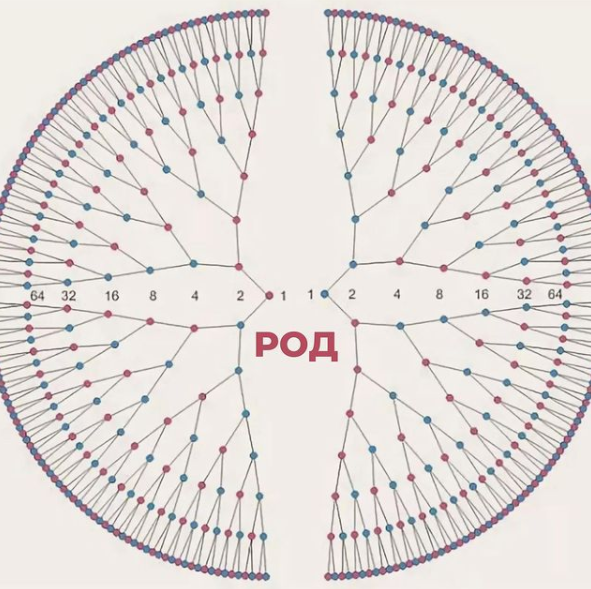 род