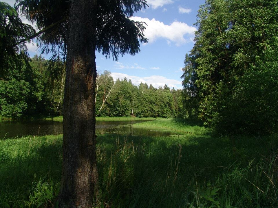 Та самая, моя первая фотография снято на берегу реки Поле. в 2010 году