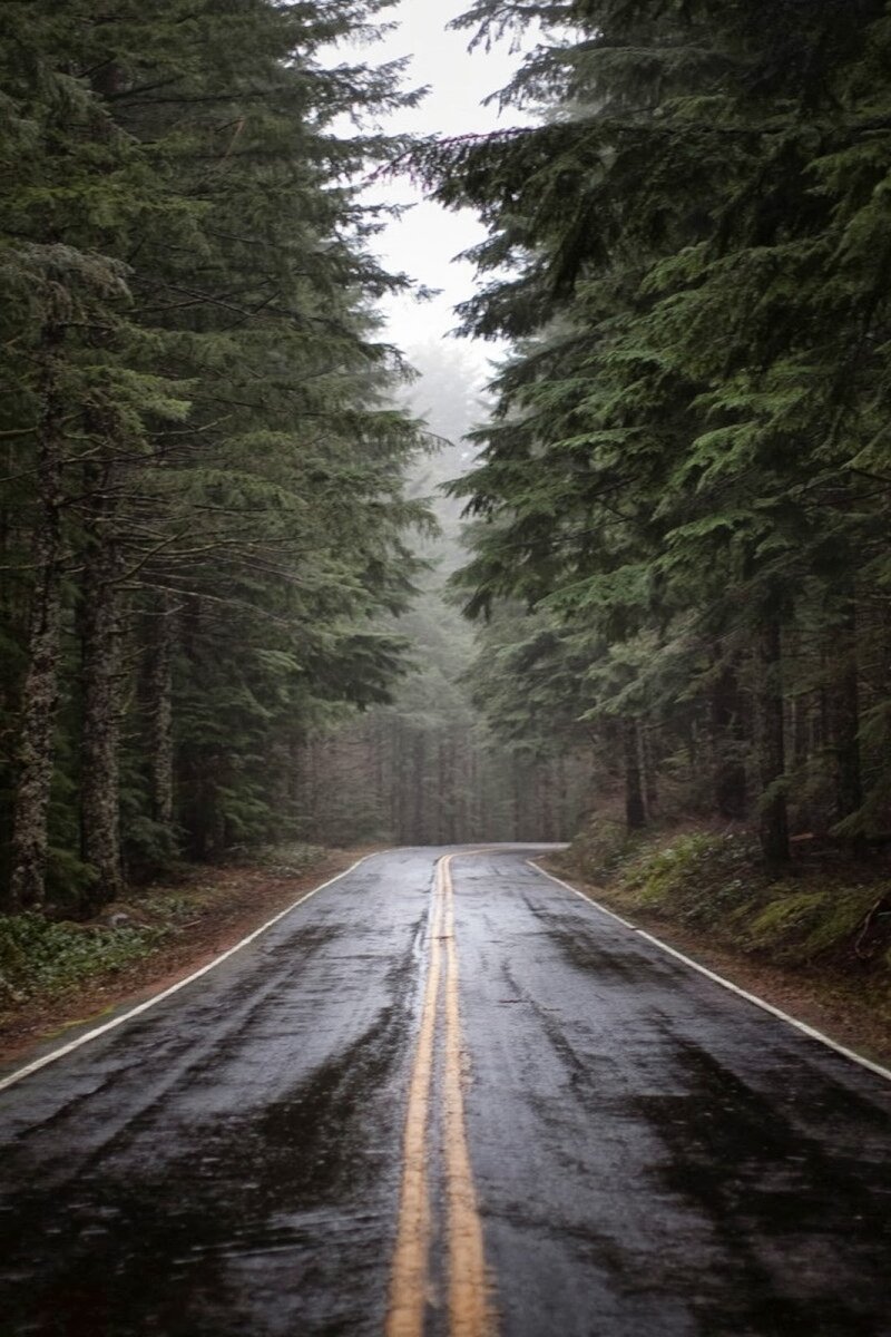 Картинка с открытых источников 