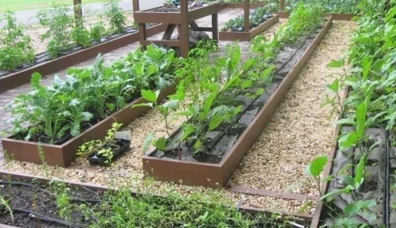 Не всем растениям такие грядки "по нраву". (Фото используется по стандартной лицензии ©hozvopros.com)