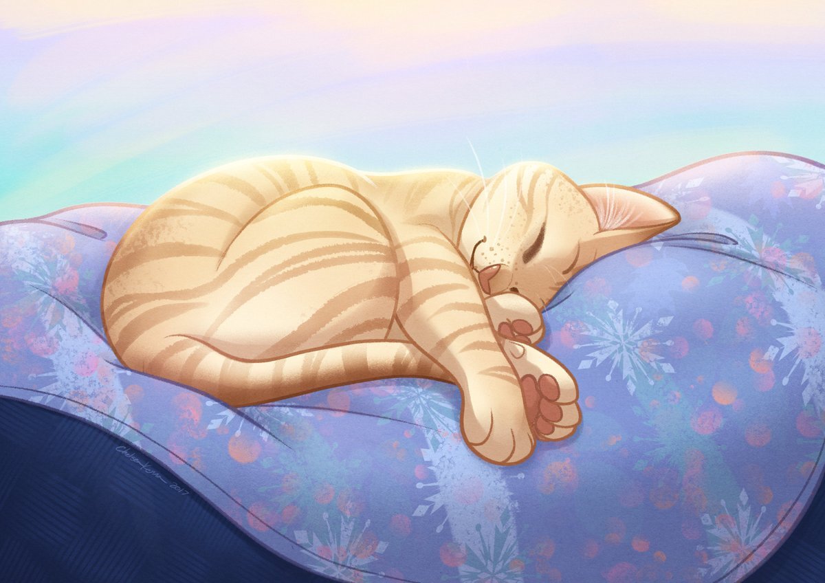 Подушка сладкий сон. Спящий кот. Спящий кот мультяшный. Подушка котик.
