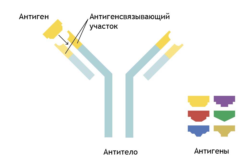 Похоже на вилку, не так ли? 