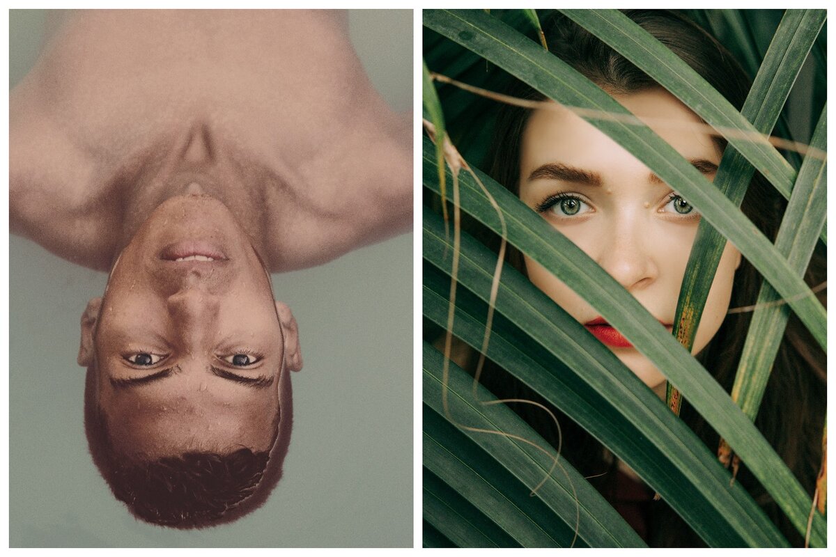 Фото: pexels