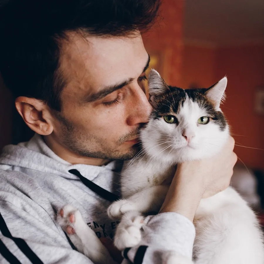 Источник: https://www.youtube.com/c/MattTheCat_official/featured