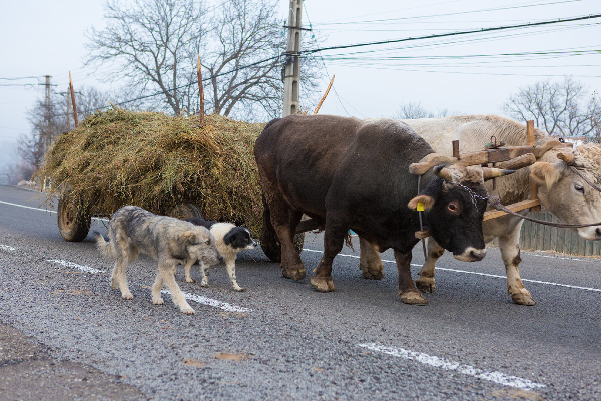 Фото размещено на основании Premium Freepik License. На фото нас сопровождают представители налоговой службы:).....