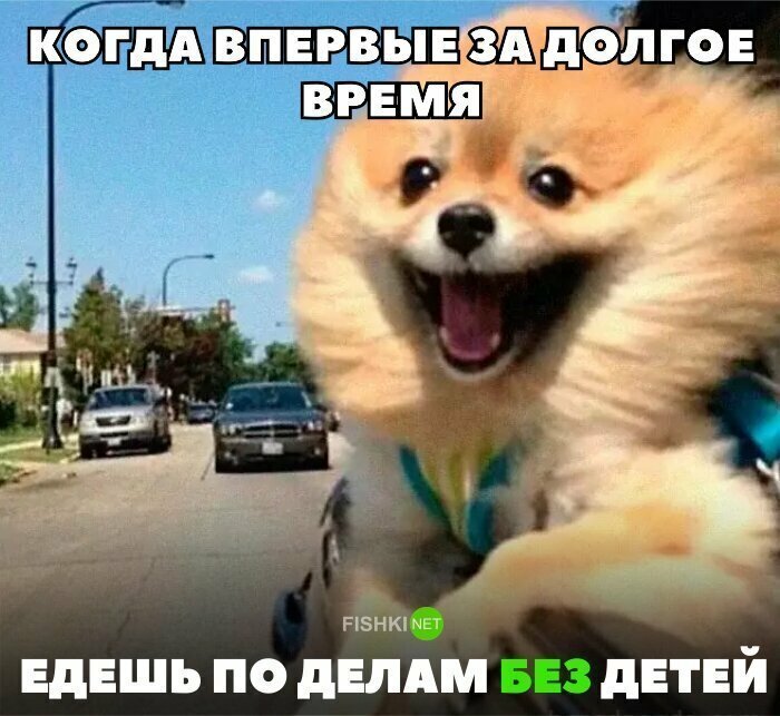 Изображение с сайта fishki.net