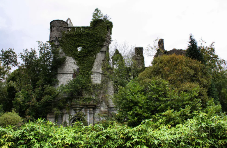 Стены снаружи, были обвиты плющем, куст вылез из сада и разросся по всему двору, обвив своими ветками дом и постройки