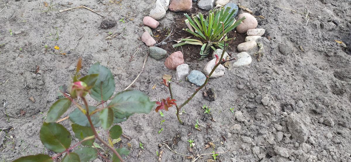 14 октября. 2021