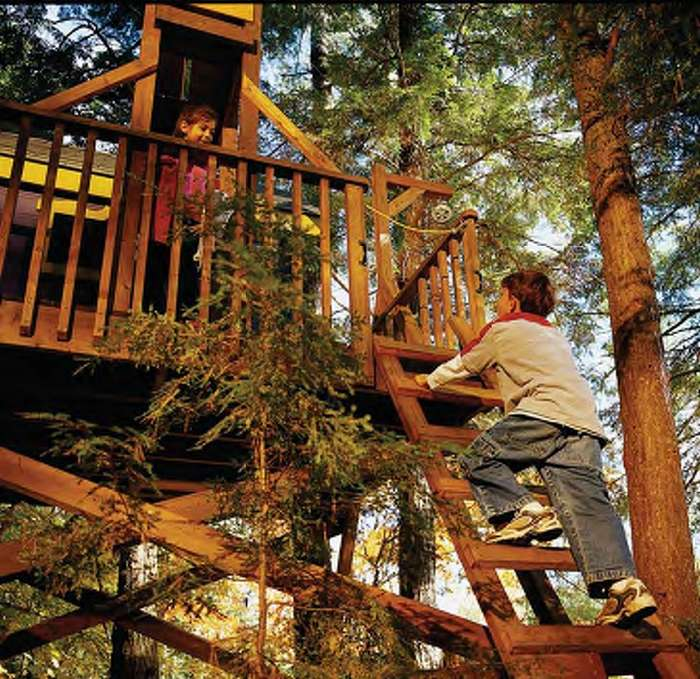 Tips for Building a Treehouse in Your Back Garden | Ryobi UK