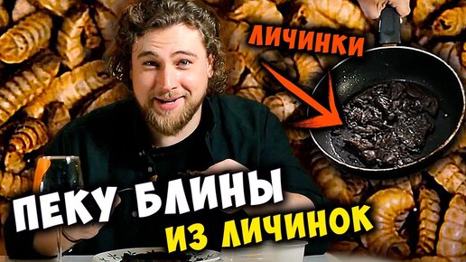 Пеку блины из личинок  | Насекомые, которых мы будем есть в 2049 году