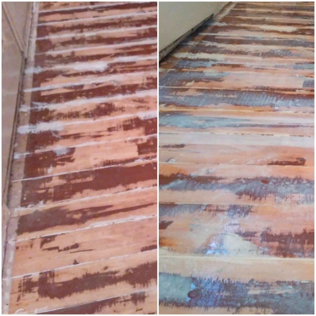 Фото из источника: iktok.com/@dyagilevtm