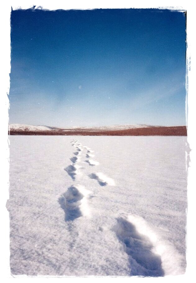 Долгая дорога по замерзшим протокам