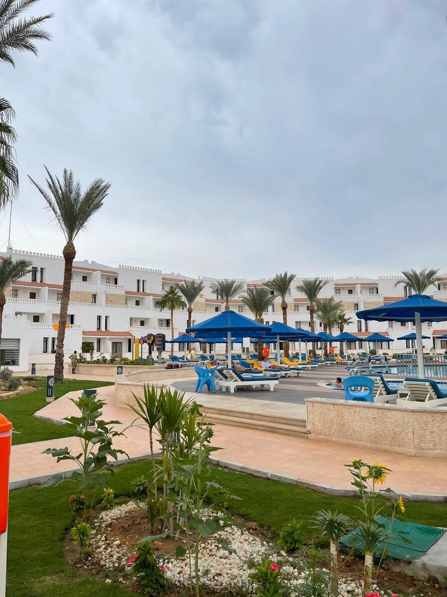 ALBATROS SHARM (BEACH ALBATROS SHARM) 4*