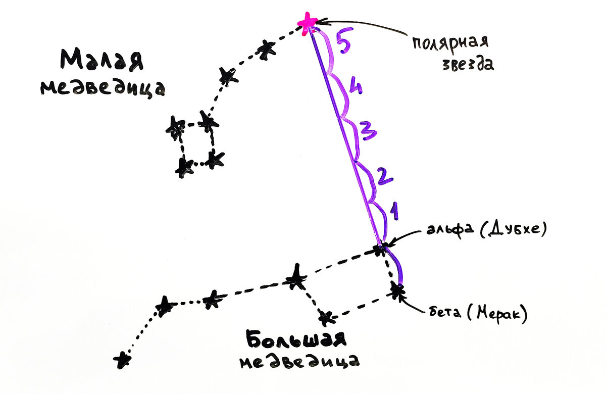 Полярная звезда карта. Полярная звезда от ковша большой медведицы. Нахождение полярной звезды по большой Медведице. Малая Медведица Альфа звезда. Как найти полярную звезду на небе.