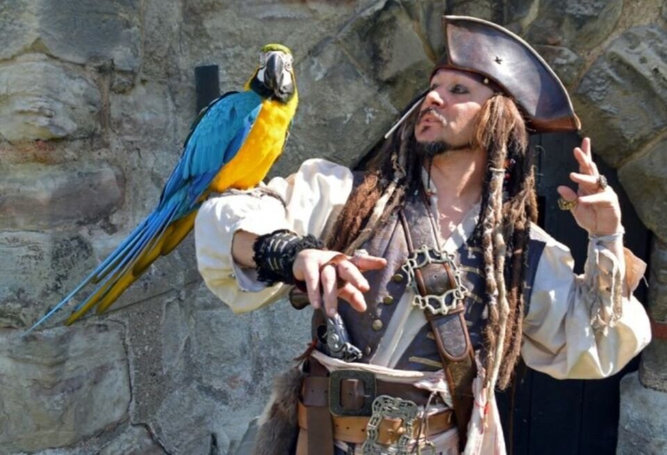 Макс – попугай достойный собственного Джека Воробья