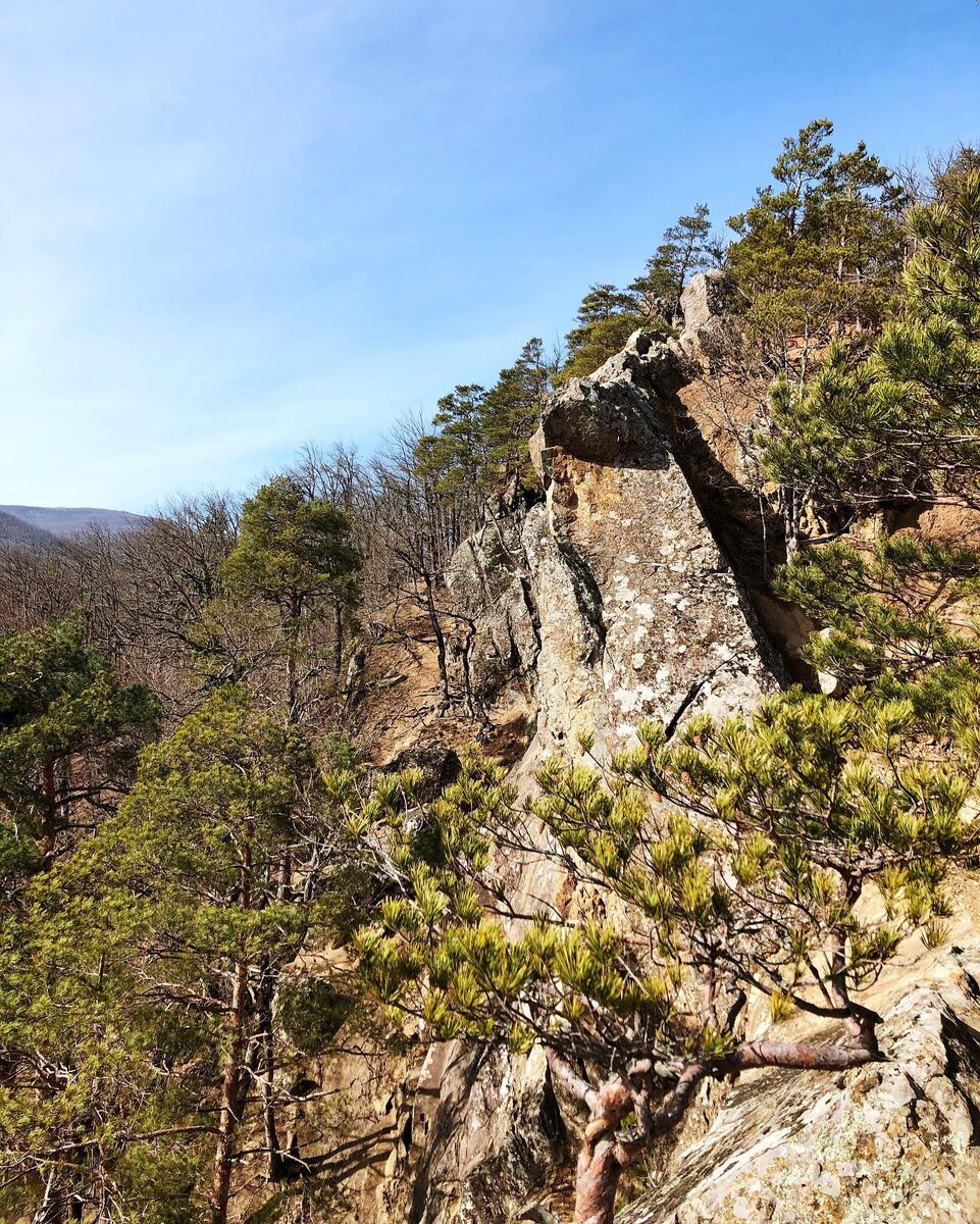 Планческие скалы краснодарский край фото Планческие скалы. Всего 70 км от Краснодара Юг Край - Курорты Юга России Дзен
