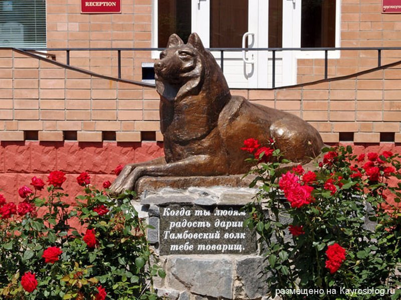 Из открытых источников.