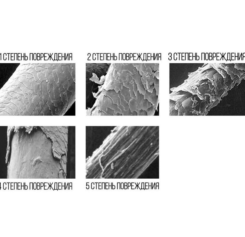 Степени повреждения волос. 1 степень повреждения волос. Поврежденная структура волос. 6 степеней повреждения волос. Строение поврежденного волоса.