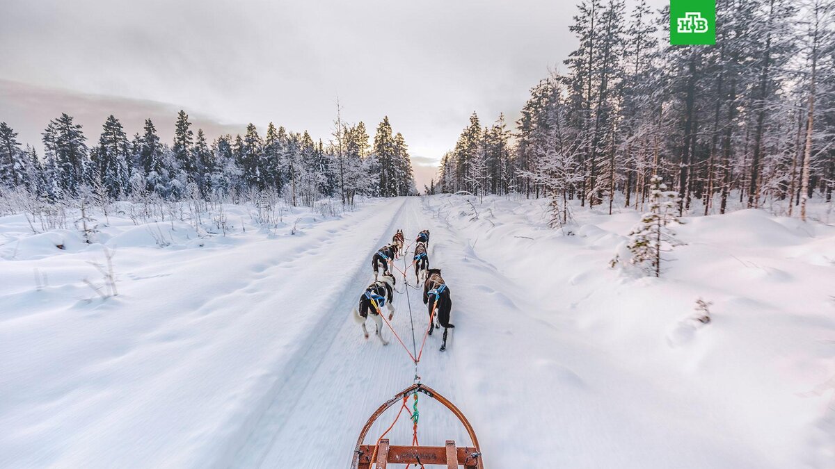    Фото: Getty Images