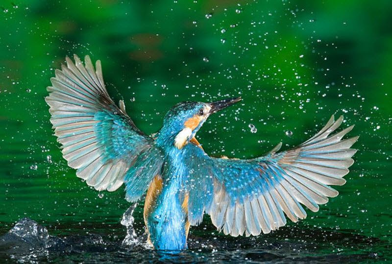 ПОМОЩЬ ПО БЕЗ ВЕСТИ ПРОПАВШИМ В ВЫЯСНЕНИИ ОБСТОЯТЕЛЬСТВ БЕСПЛАТНО