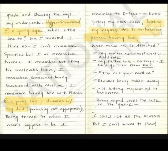 Дневник Эшли Байден