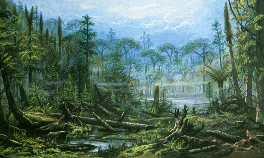 Животные юрского периода мезозойской эры. Динозавры триасового периода. Пермский период палеозойской эры. Мир триасового периода. Мезозойская эра триасовый период животный мир.