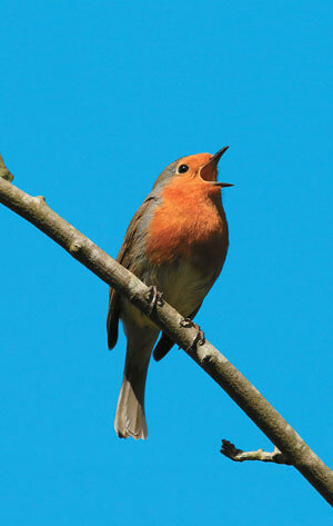 Фото из интернет-источника