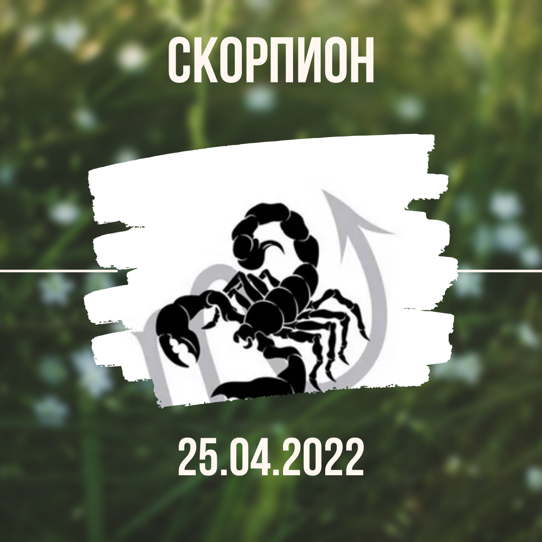 Скорпион - 25.04.2022