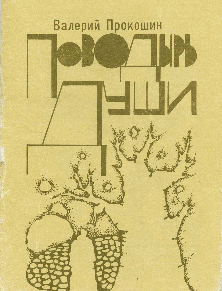 Первая книга Валерия Прокошина