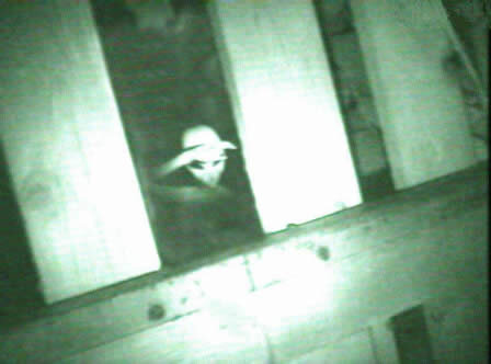 Фото взято с сайта https://alien-ufo-research.com/alien_pictures_2/

