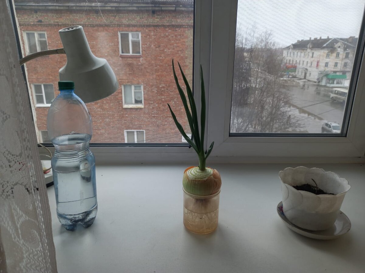 Вот такой печальный результат))