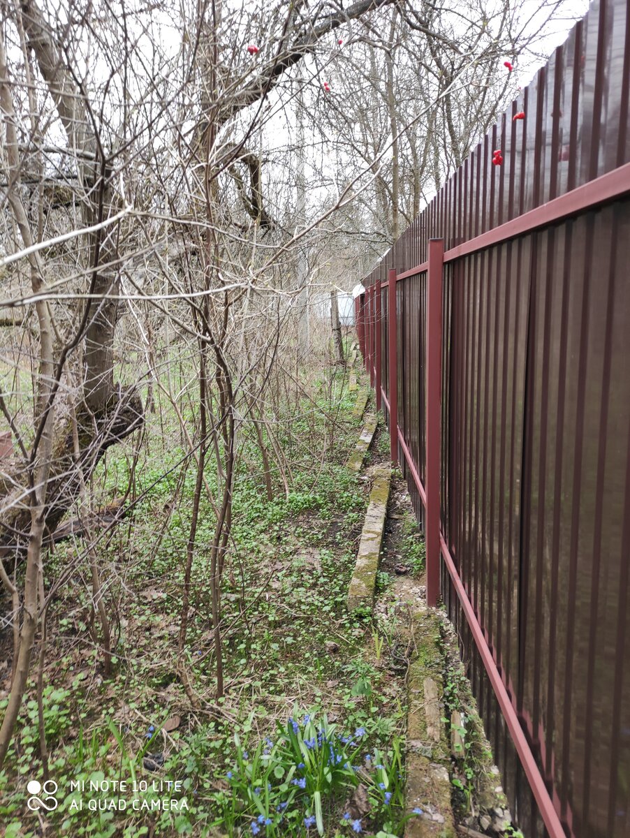 Встреча осени и весны