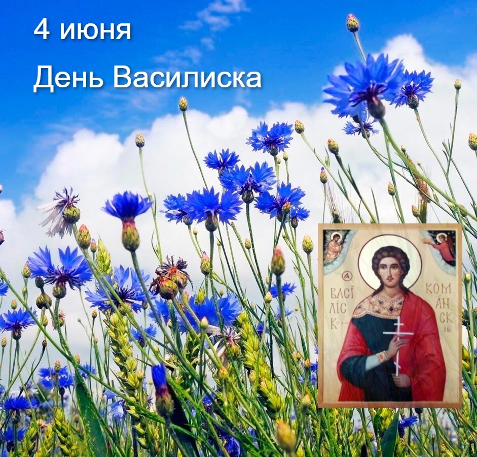 Картинки василиск 4 июня