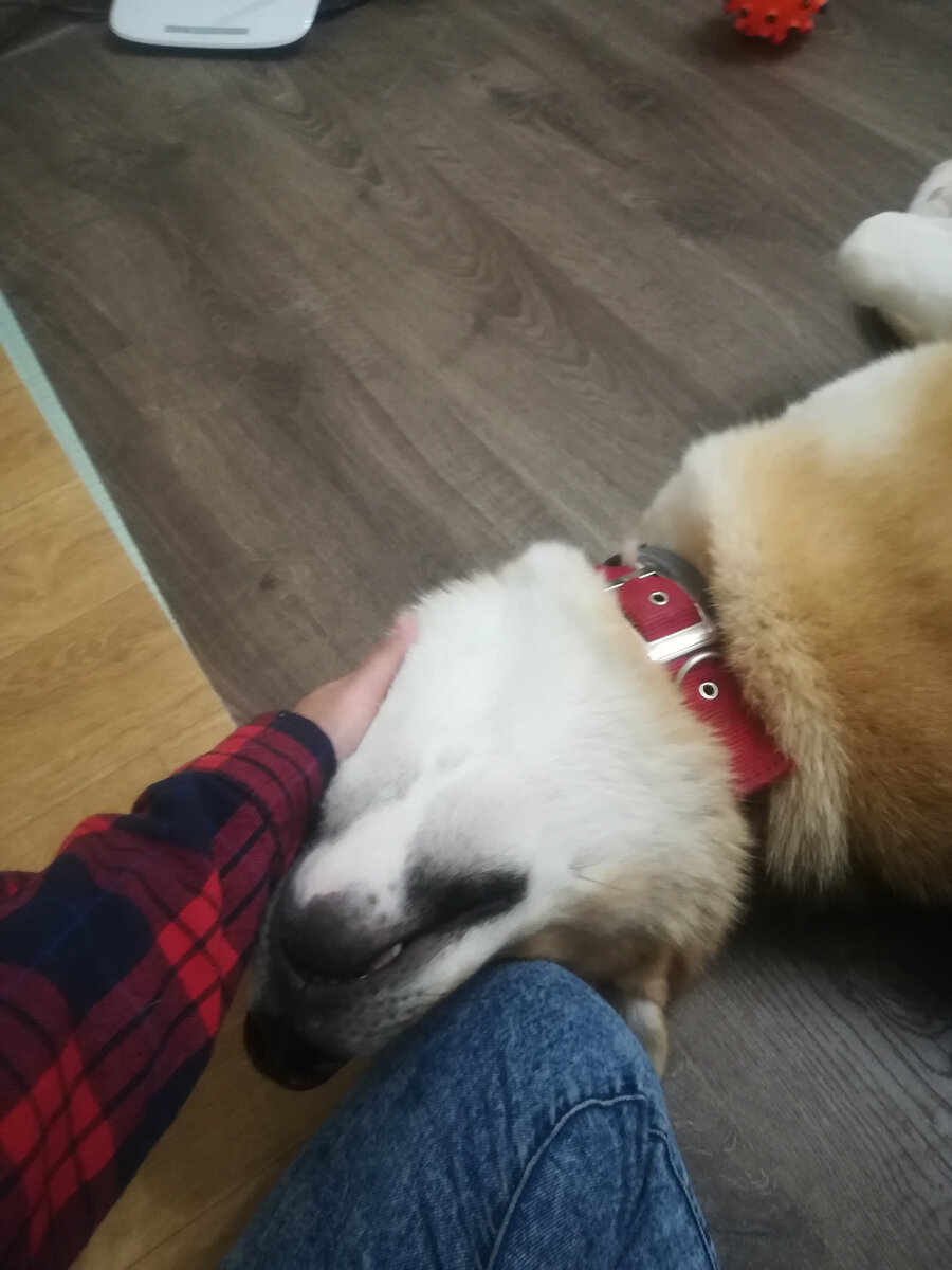 "Кать, еще 5 минуточек"