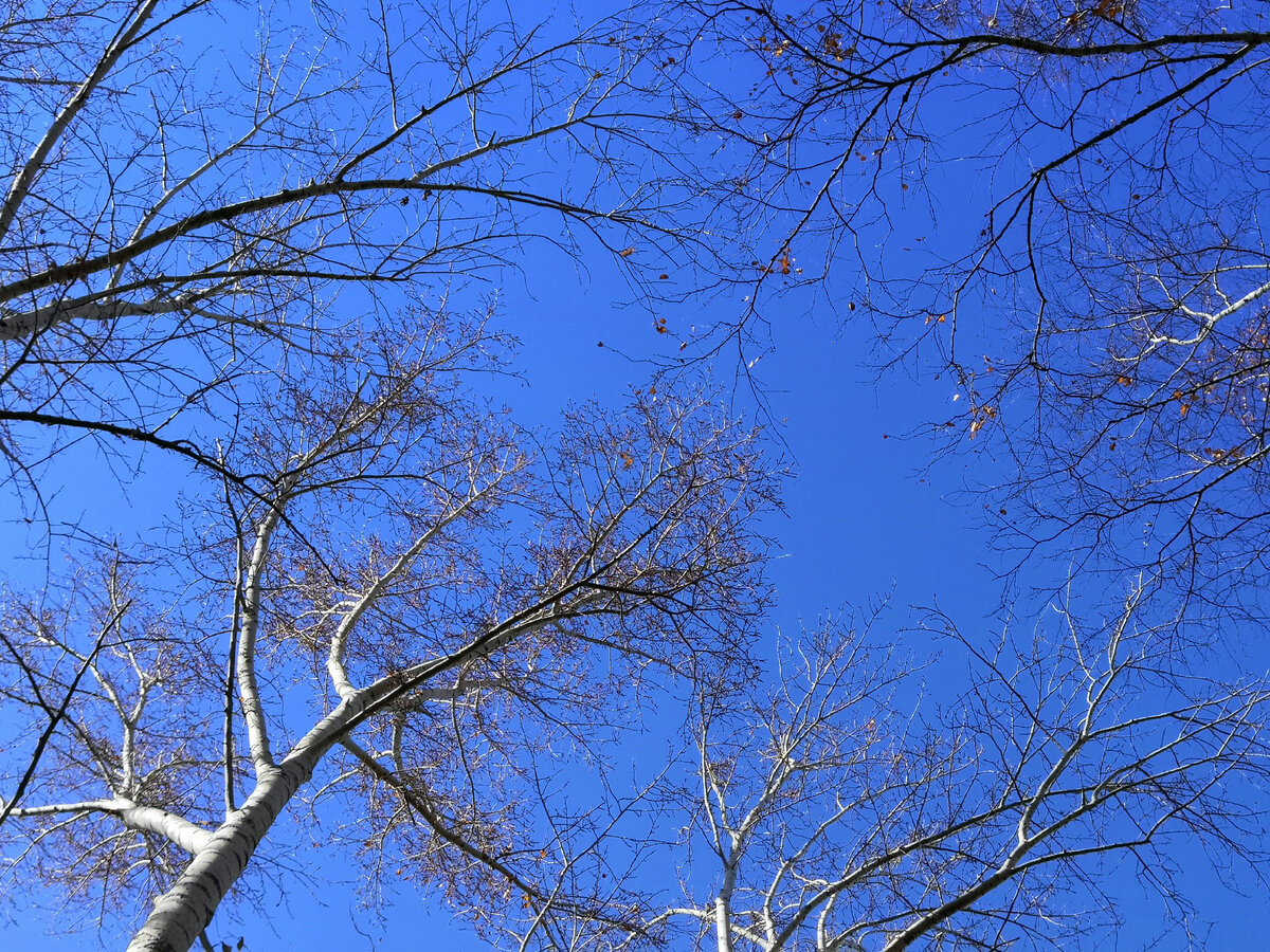 Из личного архива. 