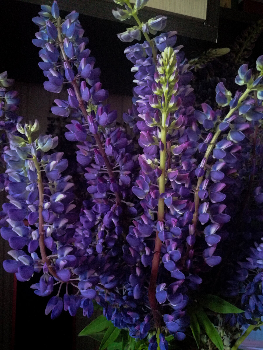 Только посмотрите, какая красота!