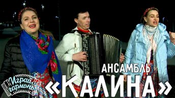 Казачья | Ансамбль «Калина» (Самарская область) | Играй, гармонь!