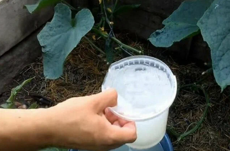 Добавьте описание