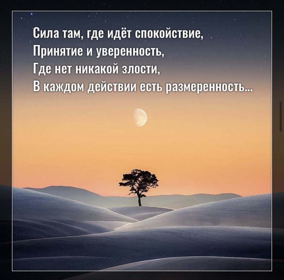 Сила спокойный. Любовь это безопасность спокойствие и принятие. Тамсил.