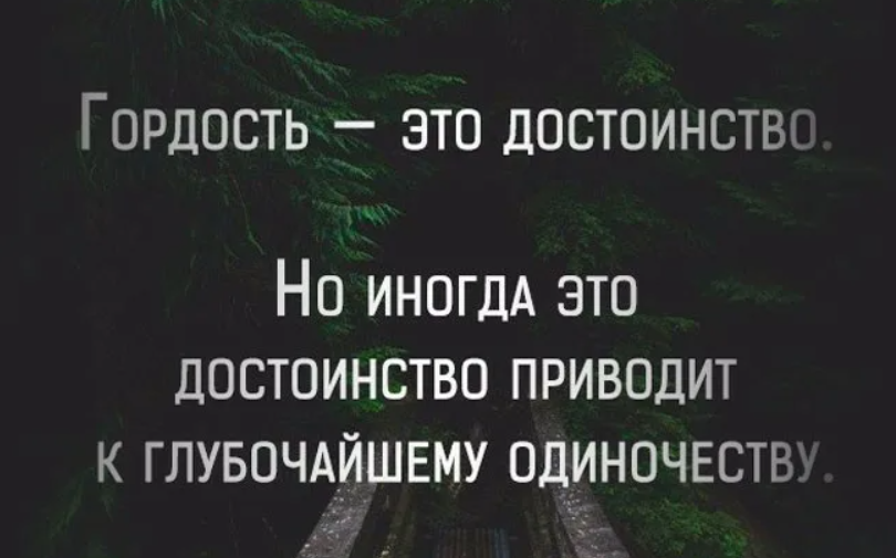 Стать гордость. Цитаты про гордость. Гордость цитаты афоризмы. Афоризмы про гордость. Гордые цитаты